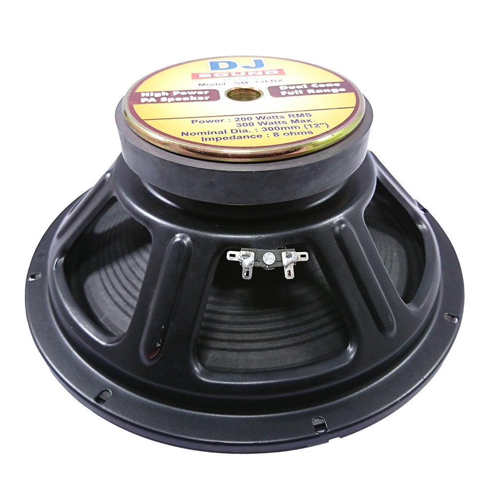 speaker 12 inch 250 watt