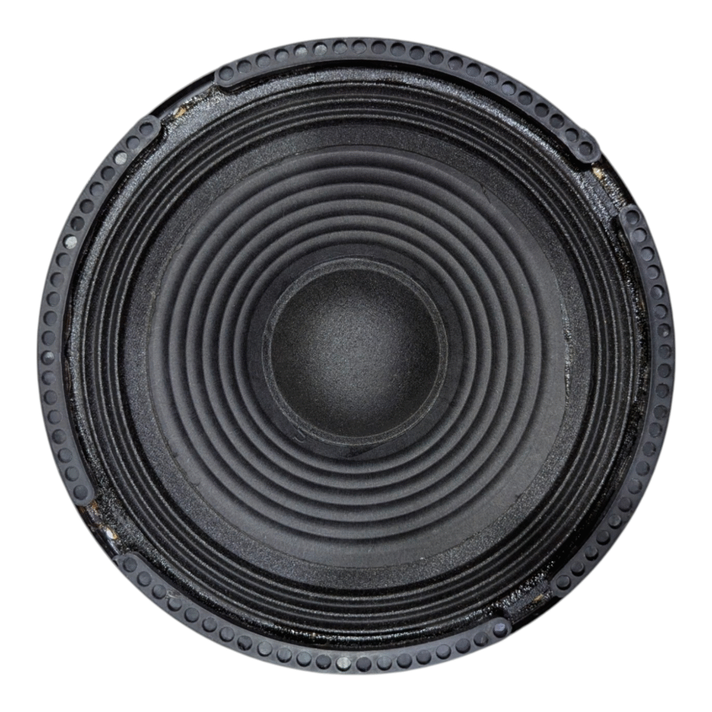 1000308001-1000x1000.png